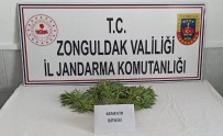 Zonguldak'ta Uyusturucu Operasyonu Açiklamasi 1 Gözalti