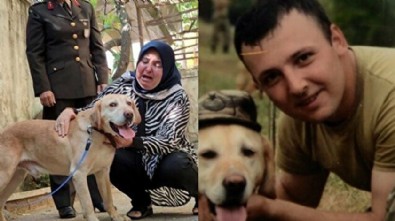 Şehit onbaşının gazi köpeği 'Atmaca' ailesine sahiplendirildi: Sanki yavrumdan bir parça geldi