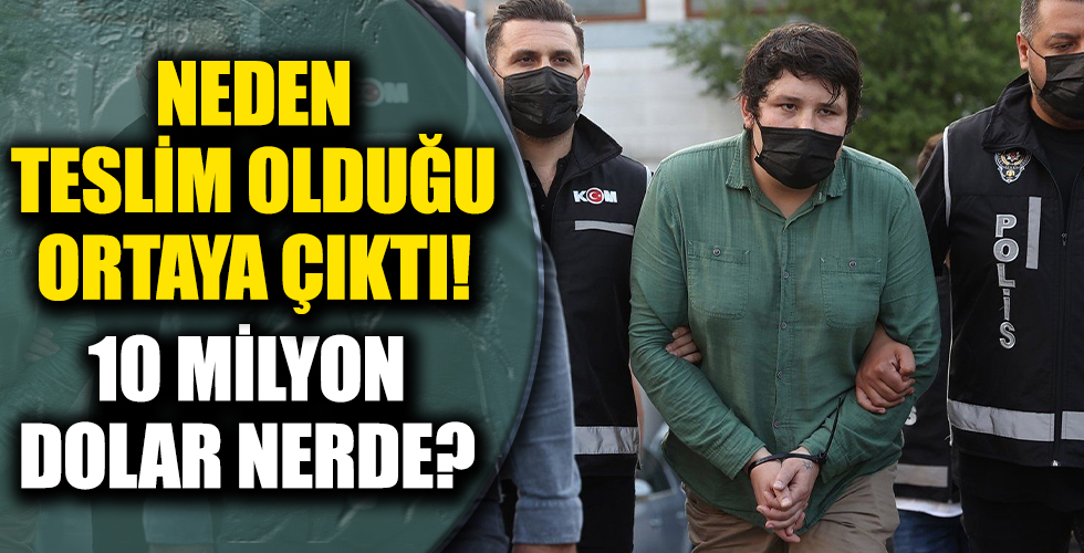 Tosuncuk lakaplı Mehmet Aydın neden ortaya çıktı?