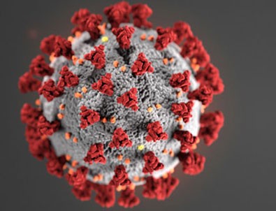 19 Temmuz koronavirüs tablosu!