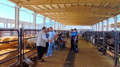 Kahramanmaras'ta Bayram Öncesi Denetim