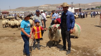 Kurban Bayrami Arefesinde Canli Hayvan Pazarinda Yogunluk Artti