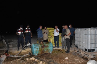 Aksaray'da Tarlada Biriken Suyu Içen 164 Koyun Telef Oldu