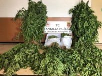 CUMHURIYET - Alanya'da Uyusturucu Operasyonu Açiklamasi 21 Kilo 300 Gram Kubar Esrar Ele Geçirildi