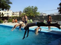 YÜZME - Asiri Sicaktan Bunalan Gençler Havuzda Serinliyor