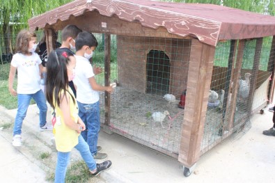 Bu Tavuklarin Sahibi Anasinifi Ögrencileri