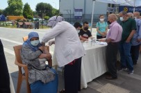 CUMHURIYET - Dr. Aralan Açiklamasi 'Asi Için Tüm Kollari Sivadik'