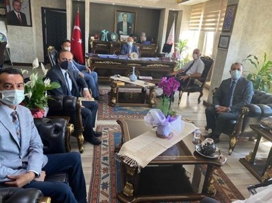 Findik Hasadinda Çocuk Isçiliginin Kaldirilmasi Hedefleniyor