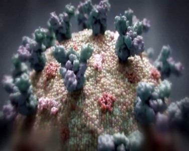 Korona Virüsün Delta Mutasyonu Lübnan'a Siçradi