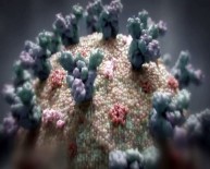 LÜBNAN - Korona Virüsün Delta Mutasyonu Lübnan'a Siçradi