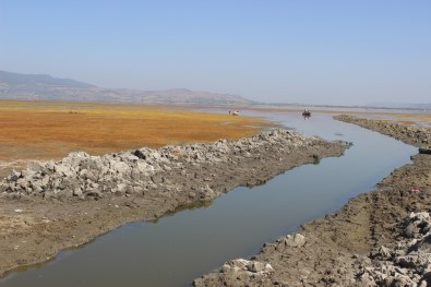 Marmara Kuruyor, Canlilar Ölüyor