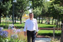 HAMDOLSUN - (ÖZEL)-Zeytinburnu Millet Bahçesi'nin Yüzde 95'I Tamamlandi