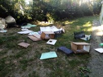 YAVRU KEDİ - Site Bahçesindeki Kedi Evlerini Yikan Sahis, Hayvanseverlere Tepki Gösterdi