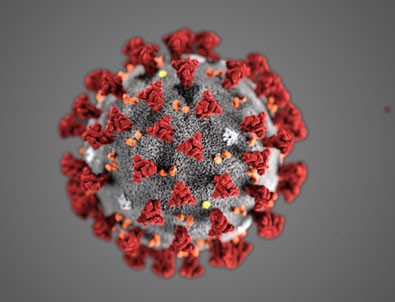 20 Temmuz koronavirüs tablosu açıklandı!