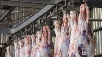 Sağlık Bakanlığı'ndan 'Kurban eti' uyarısı