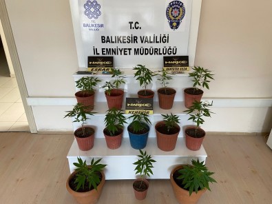Balikesir'deki Uyusturucu Operasyonlarinda 10 Gözaltina