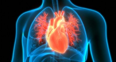 Biontech Aşısı Kalp İltihabı Yapar mı? Biontech Aşısı Sonrası Kalp İltihabı Belirtileri Nelerdir?