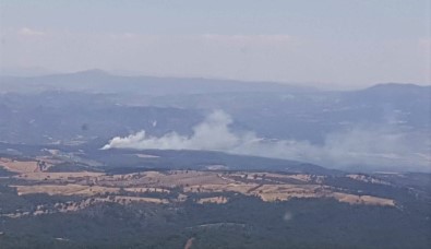 Manisa'da Orman Yangini Kontrol Altina Alindi