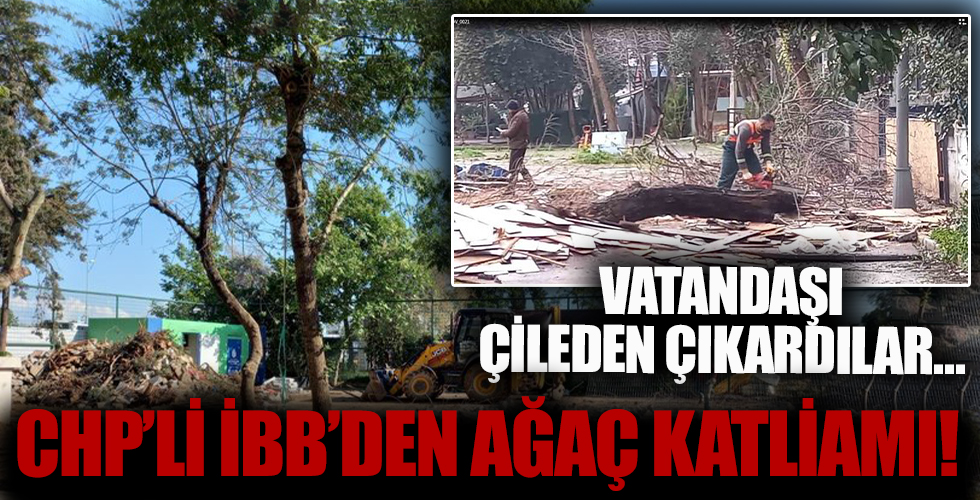 İBB'nin ağaç katliamı vatandaşı çileden çıkardı: Kartal'ın akciğerlerini yok ettiler