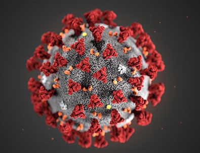 26 Temmuz koronavirüs tablosu!