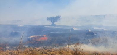 Susurluk'ta 100 Dönüm Arazi Ve 350 Saman Balyasi Yandi