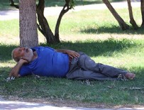 Adana'da bunaltan sıcak! Ağaç gölgesinde uyuyan vatandaşı öldü sandılar! Haberi