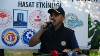 AK Parti'li Turan, Bayramiç Beyazi Hasat Etkinligine Katildi