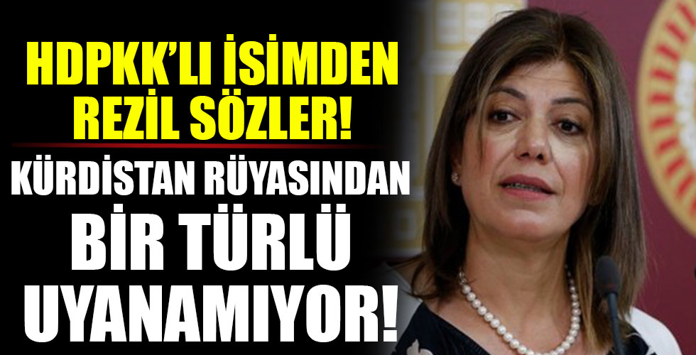 HDP'li Meral Danış Beştaş'tan rezil açıklama!