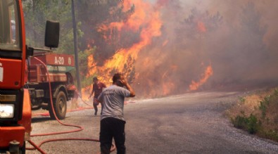 Alanya'da da orman yangını başladı!