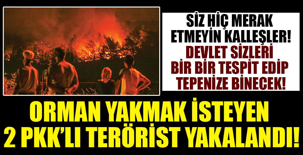 Alçak PKK'lılar suç üstü yakalandı!