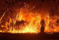 BODRUM YANGINI - Bodrum’da Yangın Nerede Çıktı?  Bodrum Yangını Nerede? Bodrum’daki Yangından Görüntüler Bodrum Yangınında Can Kaybı Var mı