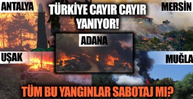 Türkiye yanıyor! Antalya'dan sonra o şehirlerde de yangın çıktı