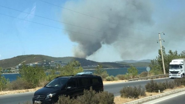 Milas'ta Yangın Nerede Çıktı? Milas Yangını Nerede? Milas Yangınından Görüntüler Milas Yangınında Can Kaybı