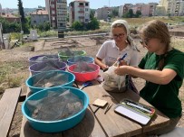 ARKEOLOJI - 9 Bin Yil Öncesine Ait Tarim Ve Yemek Kültürü Hakkinda Degerli Bilgiler