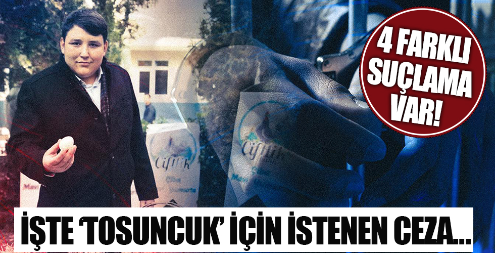 Çiftlik Bank firarisi Mehmet Aydın için dört suçlama var: İşte 'Tosuncuk' için istenen ceza!