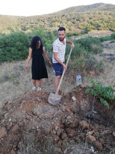 Gelenegi Tekrar Hayata Geçirdiler Açiklamasi Diktikleri Agaca Ömür Boyu Bakacaklar