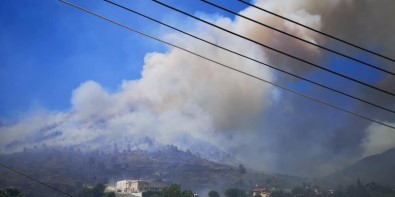 Güney Kibris'ta Yangin Panigi