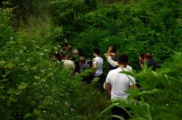 JANDARMA - Hayvanlara Yem Vermek Isteyen Genç, Sakarya Nehri'nde Kayboldu