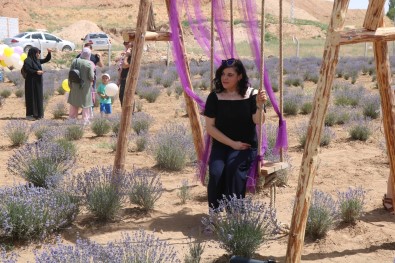 Kirsehir'de Lavanta Festivali Düzenlendi