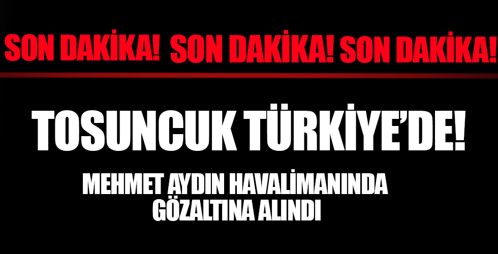 Tosuncuk lakaplı Mehmet Aydın'ı taşıyan uçak Türkiye'ye geldi