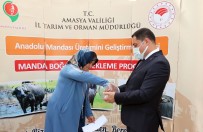 AK PARTI - Vali Masatli Açiklamasi 'Tarim Ve Hayvancilik Alanindaki Projelerimiz Devam Edecek'