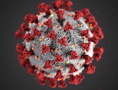 30 Temmuz koronavirüs rakamları açıklandı!