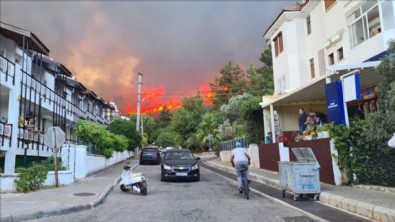Muğla'da Milas ve Bodrum yangınları kontrol altına alındı