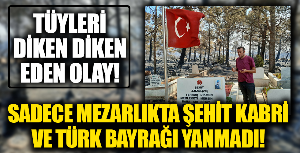 Tüyleri diken diken eden olay: Yangında zarar gören mezarlıkta şehit kabri ve Türk bayrağı yanmadı!