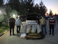 390 Kilo Antep Fistigi Çalan Süpheliler, Jandarmanin Kovalamasi Sonucu Yakalandi