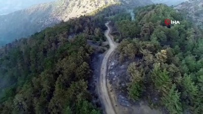 Adana Kozan'daki Orman Yangini Kontrol Altina Alindi