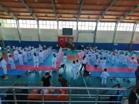 Aydinli Karateciler Koçarli'da Bulustu