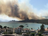 Didim’deki yangınla ilgili flaş gelişme!