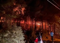 Fethiye'deki yangında sabotaj şüphesi: Belediye Başkanı'ndan flaş sözler