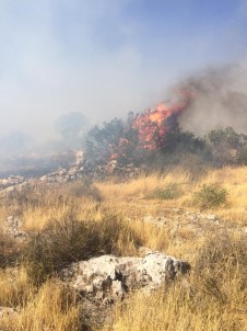 Gaziantep'te Orman Yangini